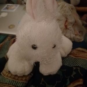 Webkinz Bunny
